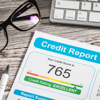 Company Vetting and Credit Report