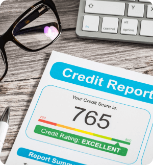 Company Vetting & Credit Report